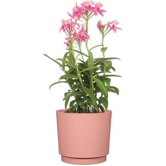 Macetero Garden ID Lino Rosa Redondo 25 cm 7 L