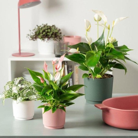 Macetero Garden ID Lino Rosa Redondo 25 cm 7 L