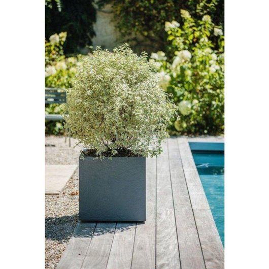 Pot EDA Volcania Carré Effet Pierre Gris Anthracite