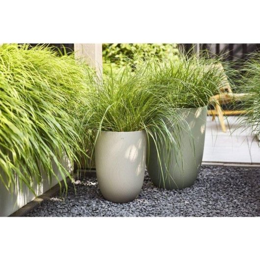 Pote Elho Sereh Tall 30 Bege 22 L para interior e exterior