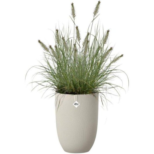 Pote Elho Sereh Tall 30 Bege 22 L para interior e exterior