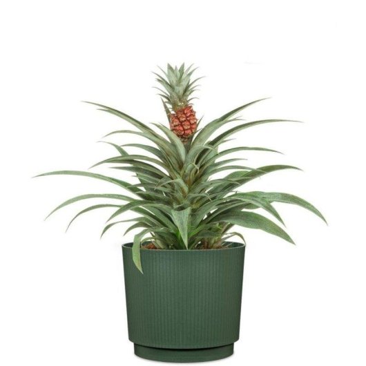 Macetero Cubremaceta Garden ID Lino Redondo Verde Oscuro 25 cm 7 L