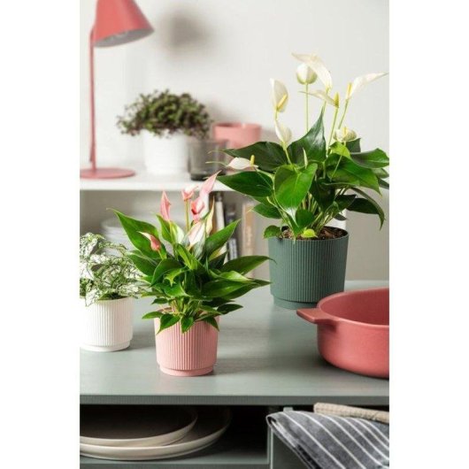 Macetero Cubremaceta Garden ID Lino Redondo Verde Oscuro 25 cm 7 L