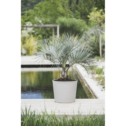 Jardinière EDA Poetic Element Conique 100 L Ø60 cm Gris Clair