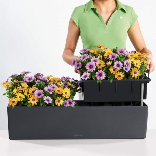 Jardinera LECHUZA Balconera Color 80 Autorriego 12 L Marrón Arena