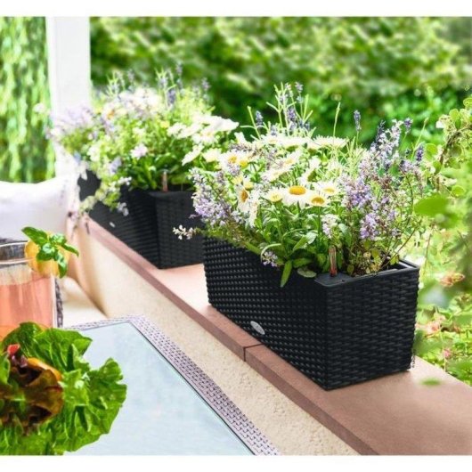 Garten Pflanzkuebel Balconera Cottage 50 Lechuza Graphite Schwarz 8 L