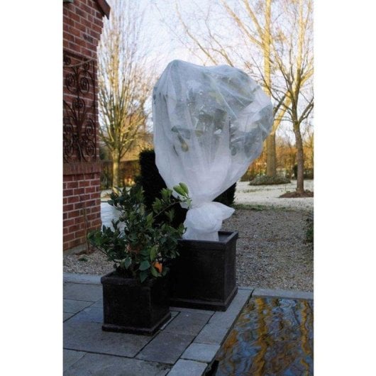 Nature Winterschutz Manta Nicht Gewebt 30 g/m2 UV Luftdurchl 2x5 m