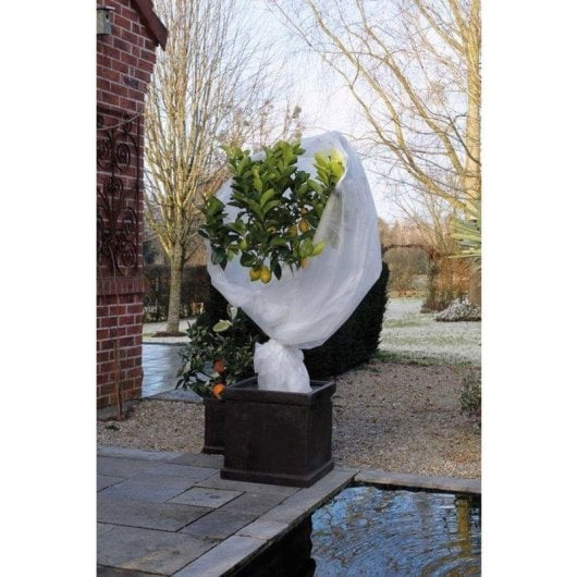 Nature Winterschutz Manta Nicht Gewebt 30 g/m2 UV Luftdurchl 2x5 m