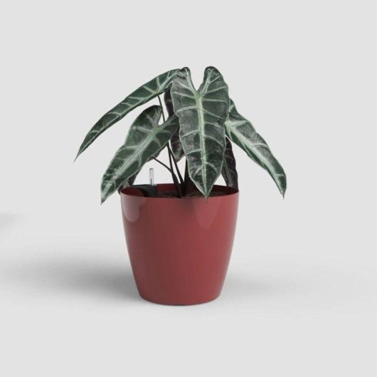 Pot Auto-irrigation Artevasi San Remo 36 cm Rouge Fonce Brillant