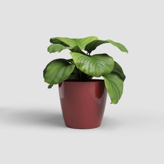 Cache-pot Artevasi San Remo Rouge Brillant 42 cm Plastique Intérieur