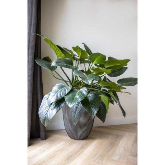 Vaso Capi Europe Groove NL Antracite 34x46 cm Polietilene Riciclato