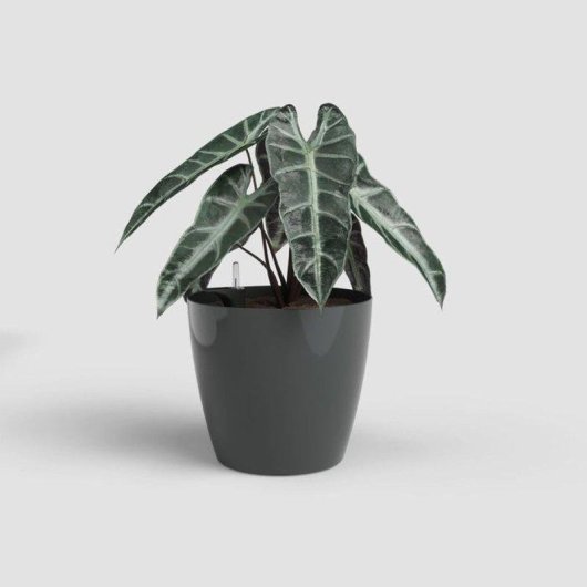 Pot de fleurs Artevasi San Remo Autorriego Diametre 30 Gris Anthracite