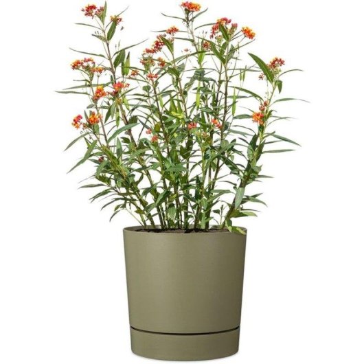 Vaso Garden Id Plano Reserve Autoirrigacao 14 L Diametro 29 cm Verde Musgo