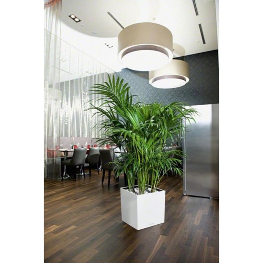 Vaso Cubo Lechuza Cube Premium 40 Bianco lucido con irrigazione integrata