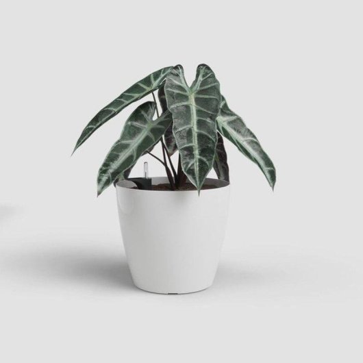 Pot de fleurs Artevasi San Remo SWS blanc système auto-arrosage 42,3 L