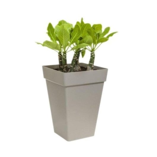 Pot de fleur Elho Loft Urban Square High 37 Blanc