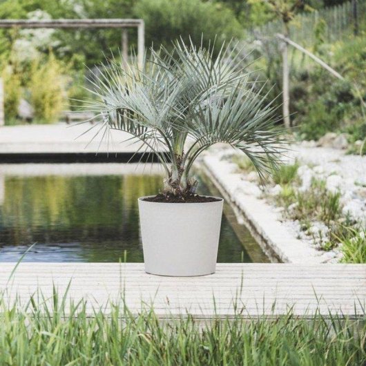 Pot EDA Poetic Element Conique Diametre 50 cm Gris clair