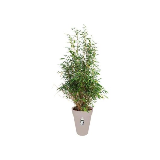 Jardinière Elho Loft Urban ronde grise avec réservoir d'eau intégré 34 cm