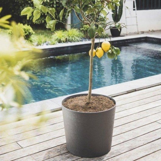 Pot EDA Element Conique Gris Anthracite 50 cm