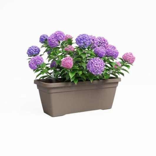Pot Venezia L SWS Reserve d Eau Integree Taupe Mat