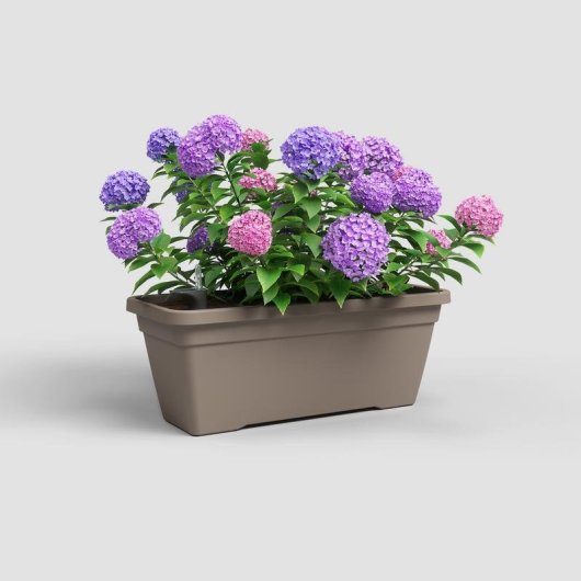 Pot Venezia L SWS Reserve d Eau Integree Taupe Mat