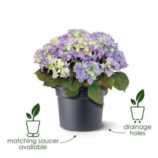 Jardinière Elho Green Basics Cylindrique 65 cm Noire 92 L Extérieur