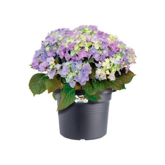 Jardinière Elho Green Basics Cylindrique 65 cm Noire 92 L Extérieur