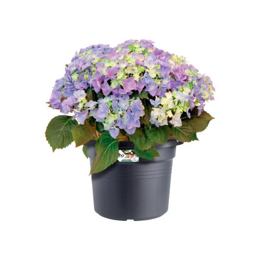 Jardinière Elho Green Basics Cylindrique 65 cm Noire 92 L Extérieur