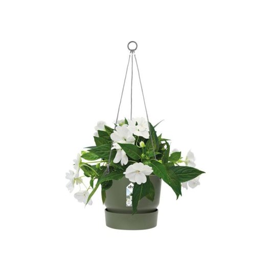 Pot suspendu Greenville Elho 24 cm Vert Feuille 6,4 L