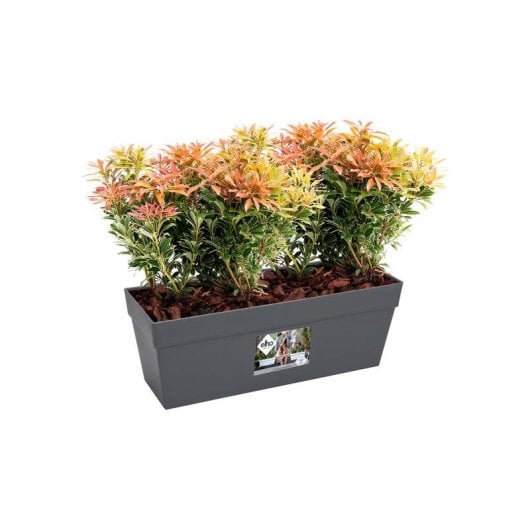 Jardiniere Loft Urban Balcon 50 cm Gris Antracite 10 L