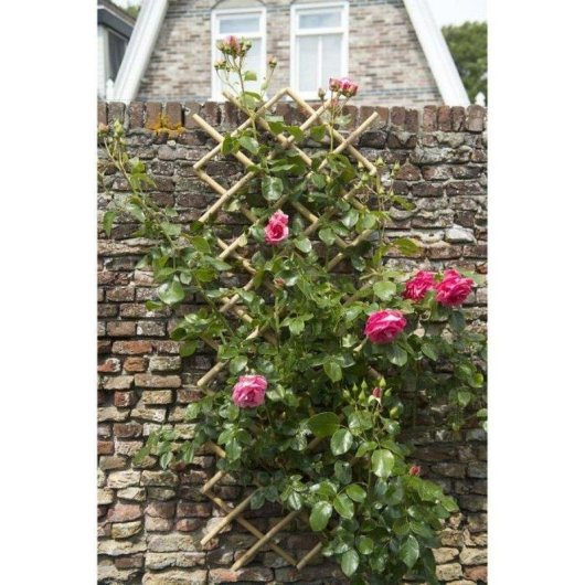 Enrejado Nature extensible de bambú 45 x 180 cm natural