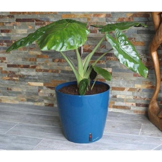 Blumentopf Riviera Eva New blau rund 31 cm