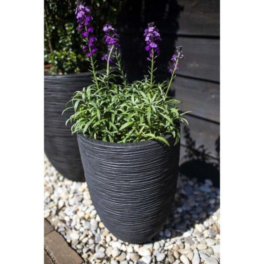 Macetero Capi Nature Rib Negro Reciclado 46 x 58 cm 75 L Doble Pared Aislante