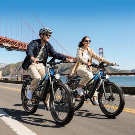 Vélo électrique Puluma PE86 500W 48V 20Ah 26'' 40 km/h 70 km autonomie