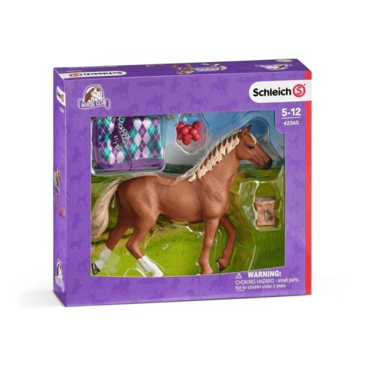 Conjunto Schleich Horse Club 42360 Estábulo de Cavalos Multicolorido