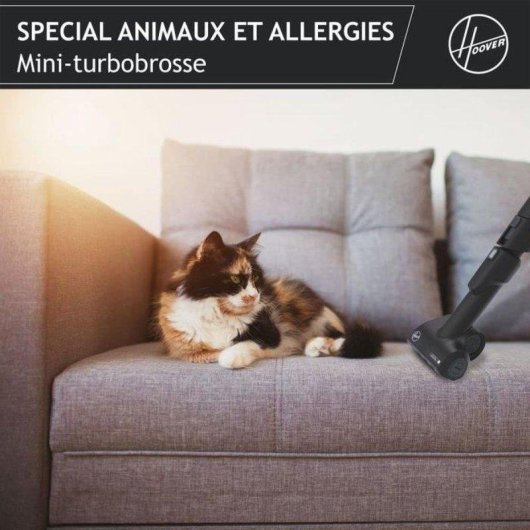 Aspirateur avec Sac Hoover H-energy 500 HE530ALG 011 700 W Filtre HEPA 13 4 L
