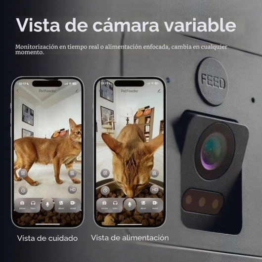 Comedero Automático Molly&Cody con Cámara 6L WiFi