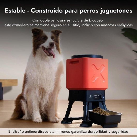 Comedero Automático Molly&Cody 14 L para Perros Medianos y Grandes