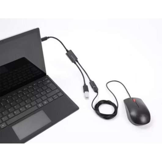 Hub Delock 2 Ports 5 Gbit/s USB-C Modell 64373 kompakt und schnell