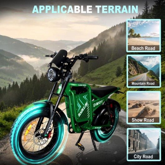 Bicicletta Elettrica Baolujie DM01 Motore 2000W Batteria 60V25Ah
