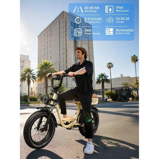 Elektrische Fiets OneSport W77 250W 48V 18Ah 20