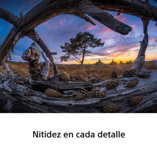 Objektiv Sony FE 8-14 mm F3.5 Fisheye G Mount E Ohne Stabilisierung