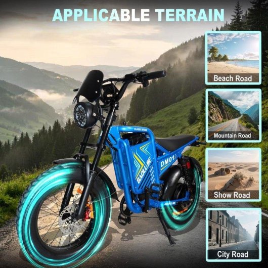 Baolujie DM01 Elektrische Fiets 60 V 25 Ah 2000 W