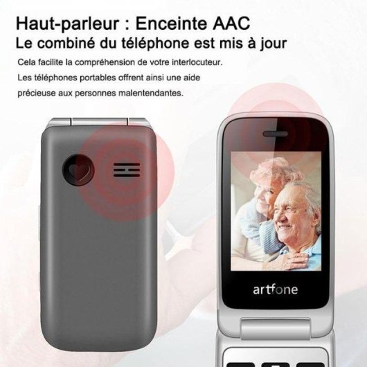 Artfone F30 4G LTE 2.8" Bouton SOS Gris