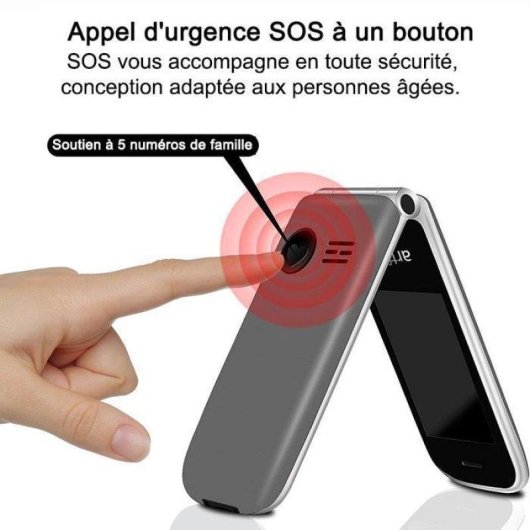 Artfone F30 4G 2,4" Bouton SOS Gris pour Seniors