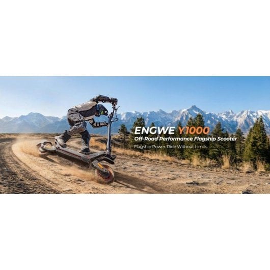 Monopattino elettrico ENGWE Y1000 800W Doppio motore Autonomia 100km Pieghevole Grigio