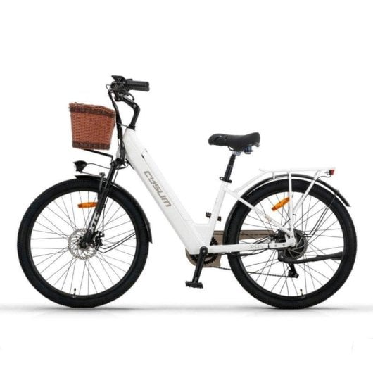 Velo electrique Cysum X-city 250W 48V10,4Ah 26 pouces