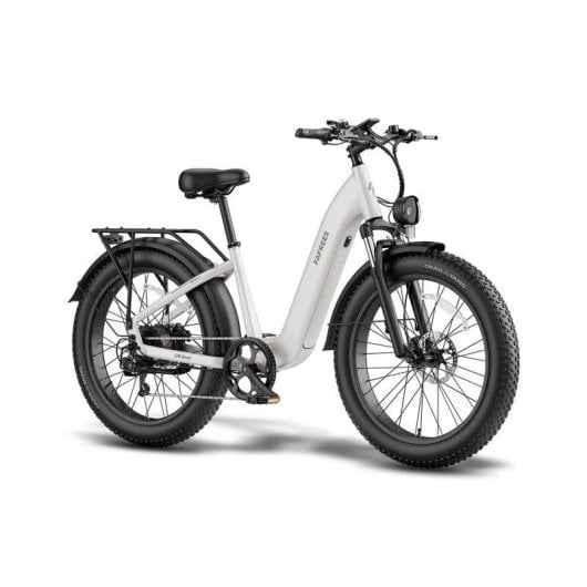 Velo electrique Fafrees F26 Rover Gris 48V 20Ah