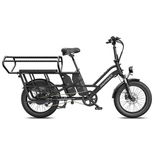 Bicicletta Elettrica Fafrees FF20 CUV Sedile Doppio Bambini 24Ah 250W