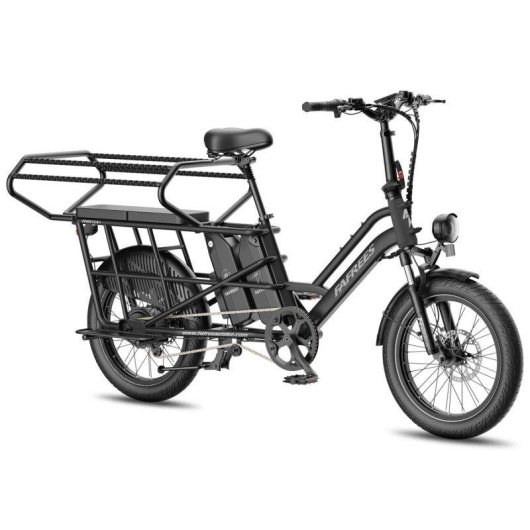 Bicicletta Elettrica Fafrees FF20 CUV Sedile Doppio Bambini 24Ah 250W